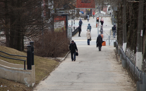 В России предложили ввести пособие на покупку масок и перчаток