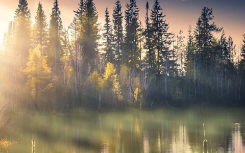 Фото дня от сыктывкарца: красота природы Коми ⠀