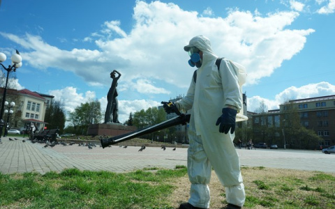 Сыктывкар начали обрабатывать от клещей