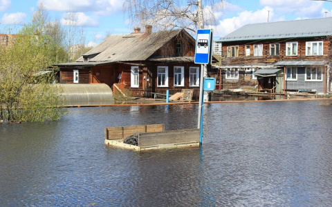 Фото дня в Сыктывкаре: спонтанная прогулка по Заречью