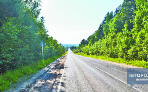 Погода в Сыктывкаре на 20 мая: очередной солнечный день и небольшие осадки