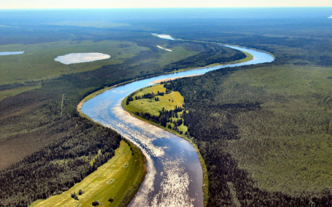 Коми предложили объединить с Архангельской областью и НАО