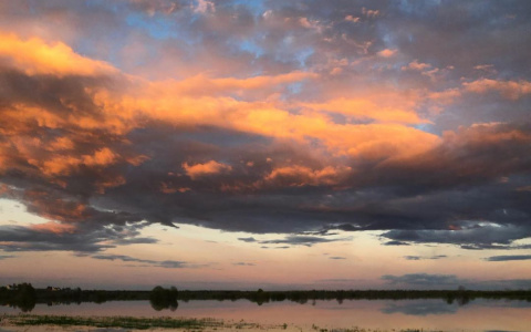 Фото дня от сыктывкарки: весна на русском севере