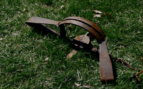 Житель Коми заколол вилами собаку, которая попала в его капкан