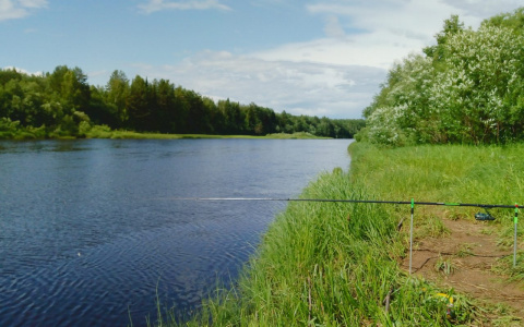 Фото дня: утро в Койгородском районе