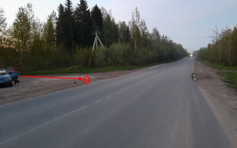 В Сыктывкаре двое мужчин катались на мотоцикле без шлемов и попали в жесткое ДТП