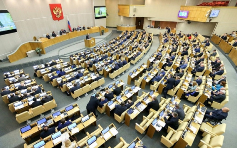 В России предложили ввести пособие для домохозяек