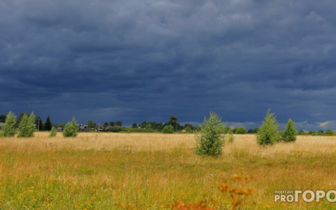 Погода в Сыктывкаре на 6 июня: гроза и жара