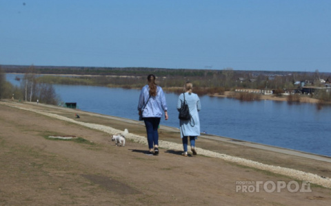 В Сыктывкаре изменят правила выгула собак