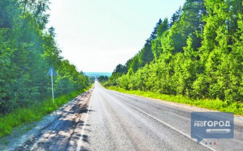 Погода в Сыктывкаре на 7 июня: пришло настоящее лето