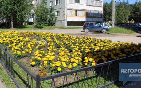 Вторая неделя лета в Коми принесет 30-градусную жару