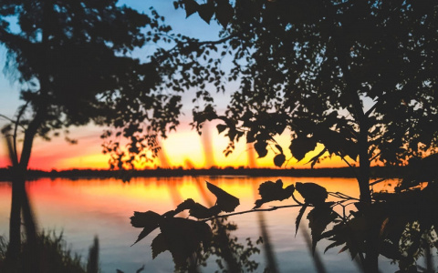 Фото дня от сыктывкарки: пламя заката разливается по вечернему небосводу