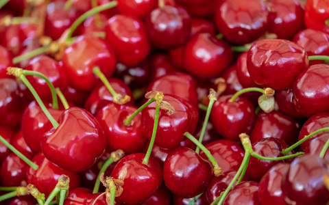 Как купить черешню и остаться в живых: мнение экспертов