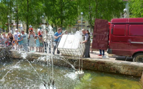 В Сыктывкарском фонтане появится живая форель