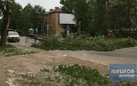 Спасатели предупреждают: в Коми ожидается штормовой ветер