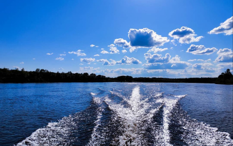 Фото дня от сыктывкарца: солнечный день на Сысоле