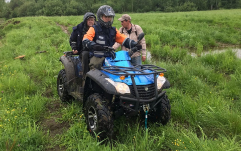 В Коми пенсионерка всю ночь провела в лесу совершенно одна