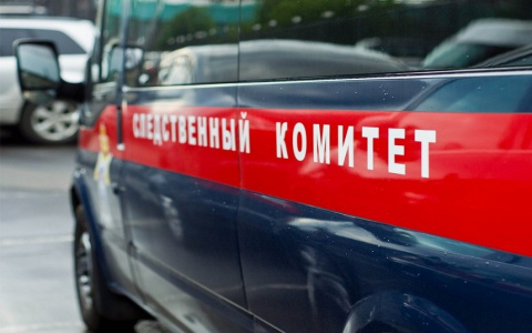 18 «коктейлей Молотова» и бомба: в России задержали подростка, который готовил теракт в школе