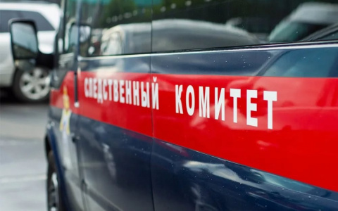 По факту гибели двоих детей на пожаре в Коми завели уголовное дело