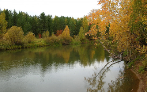 В Коми на реке исчез 14-летний подросток