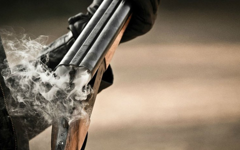 В Коми отстрелили медведя, который мог задрать лосей в этнопарке