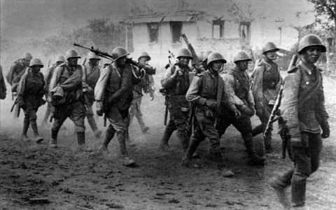 Тест: 10 вопросов о Великой Отечественной войне, на которые сможет ответить не каждый