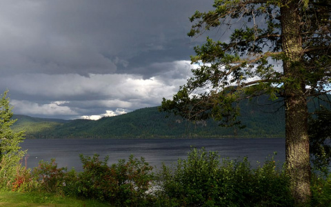 Погода в Сыктывкаре на 24 июня: пасмурно и холодно