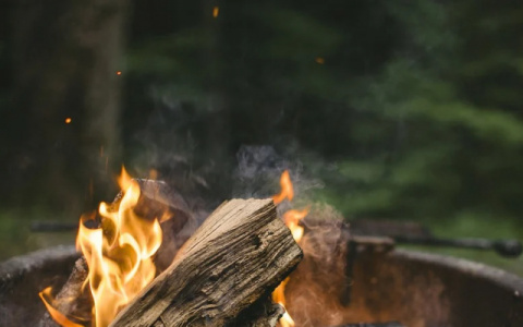 Погода в Сыктывкаре на 26 июня: переменная облачность и осадки