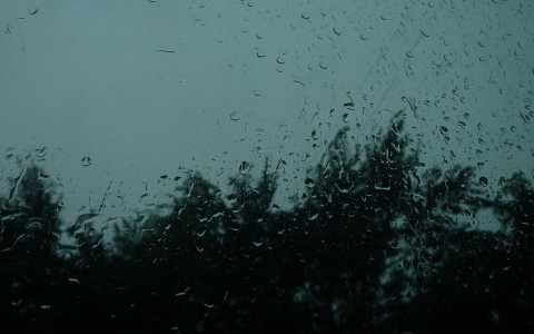 Погода в Сыктывкаре на 27 июня: дожди и северо-западный ветер