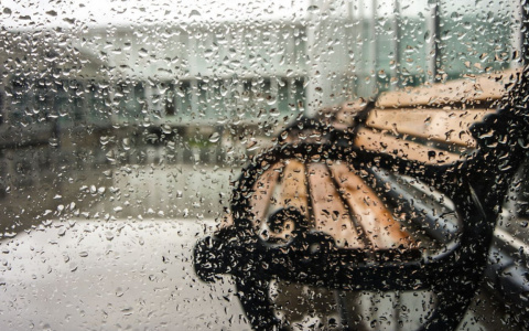 Погода в Сыктывкаре на 29 июня: холода и дожди