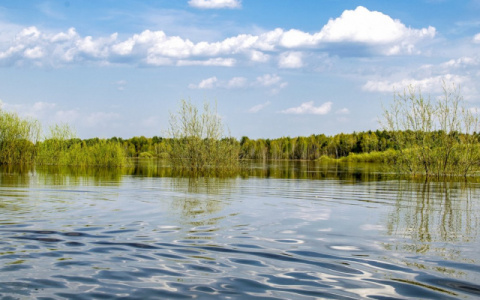 Искупаться и выжить: инструкция от МЧС Коми
