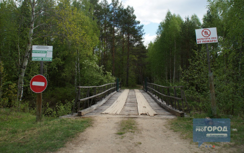 В сыктывкарском лесу искали двух девушек