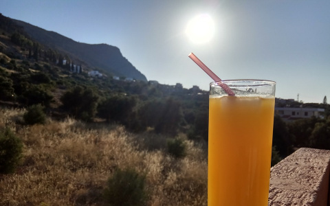 Синоптики рассказали, каким будет июль в Коми