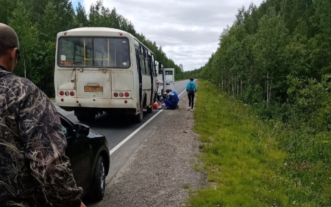 «Водитель умер, а по «встречке» летели «Камазы»: пассажирка автобуса рассказала о страшном происшествии на трассе в Коми