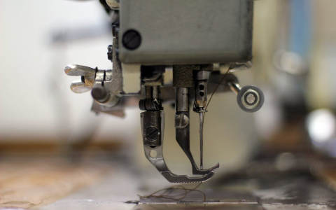 Авторы «Лунтика» подали в суд на сыктывкарскую швейную фабрику