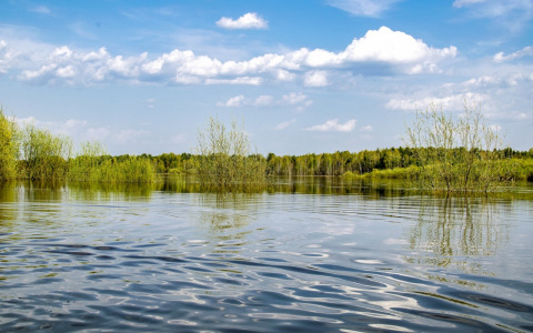 В Коми утонули мужчина и ребенок