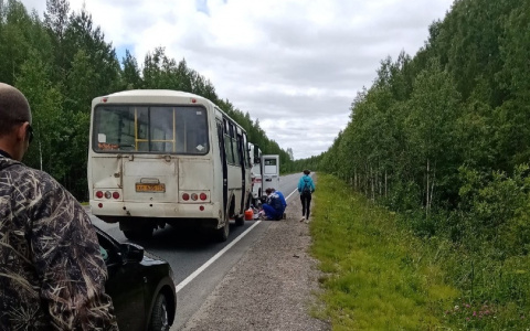«Лесовозы даже не остановились»: сыктывкарка, которая спасла пассажиров автобуса, рассказала, как все было