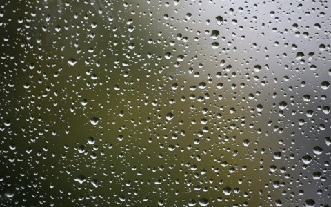 Погода в Сыктывкаре на 11 июля: в городе пройдут дожди