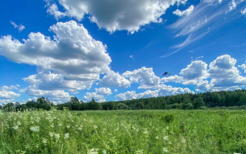 Фото дня от сыктывкарки: «Возвращение на Землю»