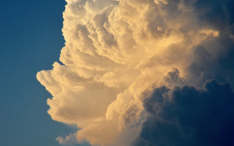 Погода в Сыктывкаре на 20 июля: тепло солнца и северные ветра