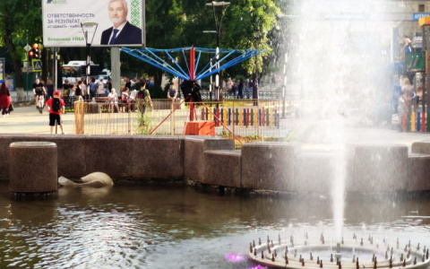 Вандалы сломали шею лебедю на фонтане в центре Сыктывкара