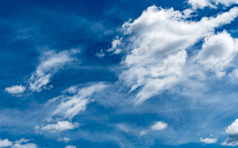 Погода в Сыктывкаре на 24 июля: тепло, солнечно и ясно