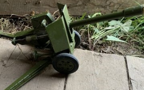 Электронные жуки и раритетная пушка: топ 7 детских товаров, которые продают сыктывкарцы