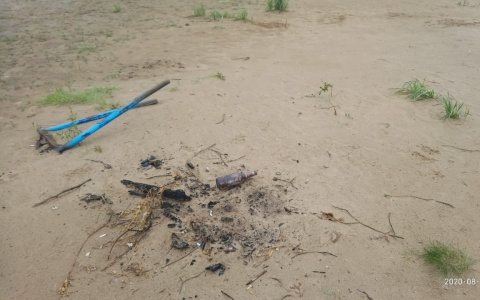 Вандалы сожгли скамейки и столбы для волейбольной сетки на пляже в Сыктывкаре