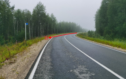 На трассе в Коми в ДТП погибла женщина