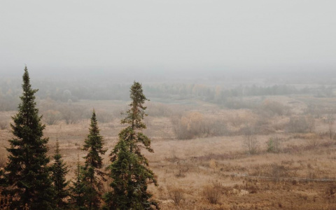 Погода в Сыктывкаре на 3 августа: город накроет туман