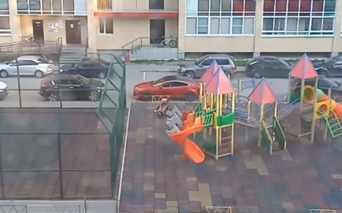 Сыктывкарец бил машины и громко кричал во дворе жилого дома (видео)