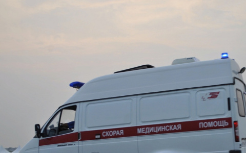 Семилетний мальчик, который упал с дерева в Сыктывкаре, скончался