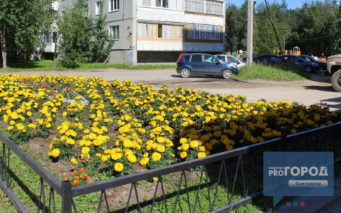 Синоптики рассказали, как изменится погода в Коми на выходных