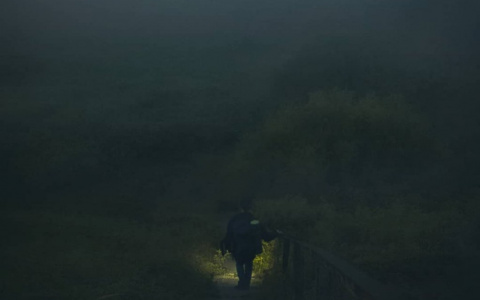 Фото дня в Сыктывкаре: прогулка в тумане